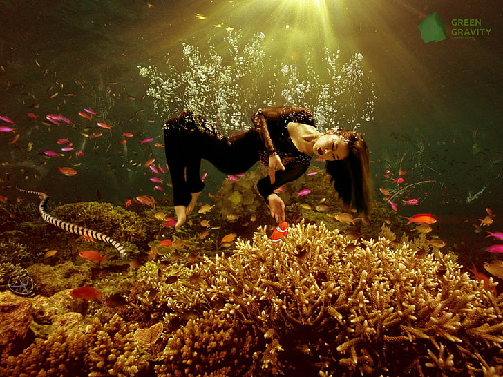 Nikolas Verano, animaux, plantes, femmes, bulles, sous l'eau, 500 pixels, poisson, Fond d'écran HD