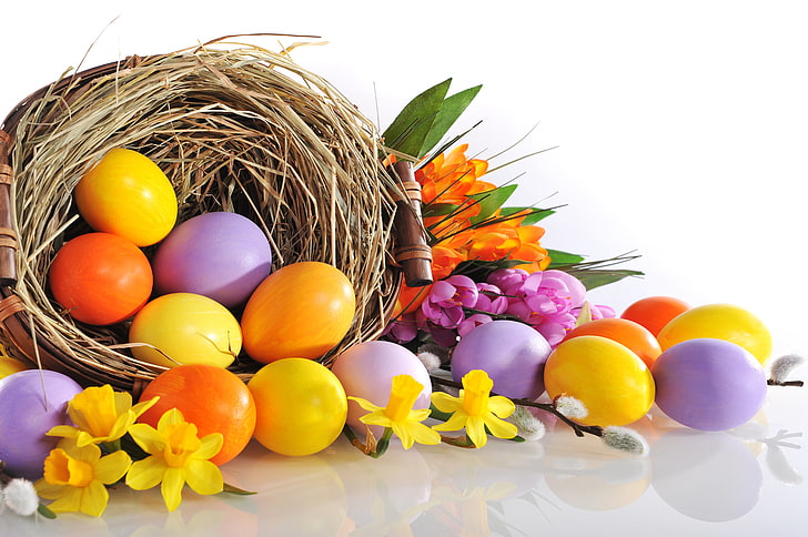 decoración de huevos de colores variados, flores, huevos, Pascua, narcisos, Fondo de pantalla HD