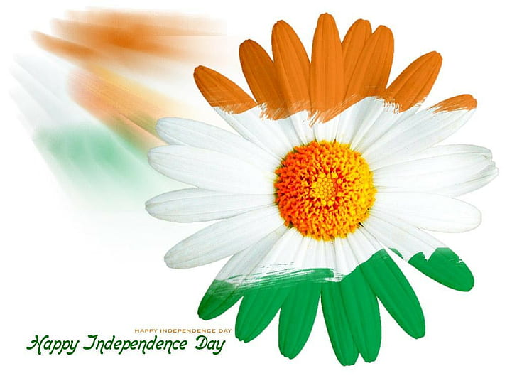 Indian Independence Day, Festivals / Holidays, , festival, indian, HD wallpaper