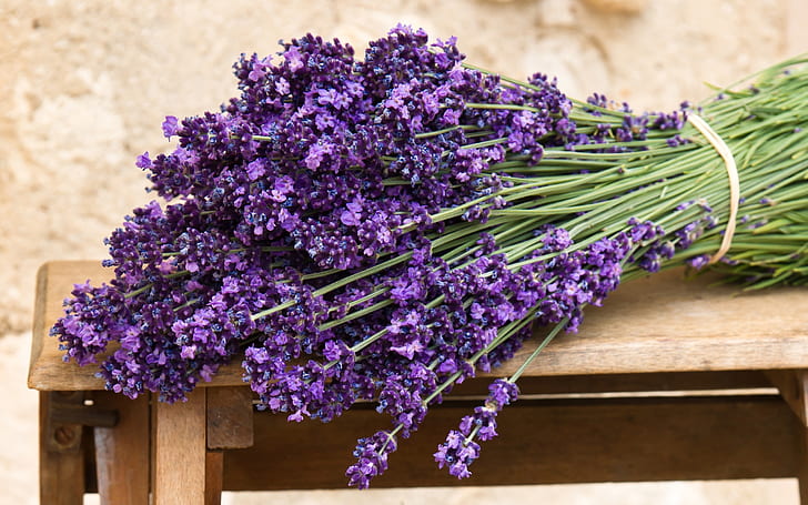 Blumenstrauß von lila Lavendelblumen, Blumenstrauß, Purpur, Lavendel, Blumen, HD-Hintergrundbild