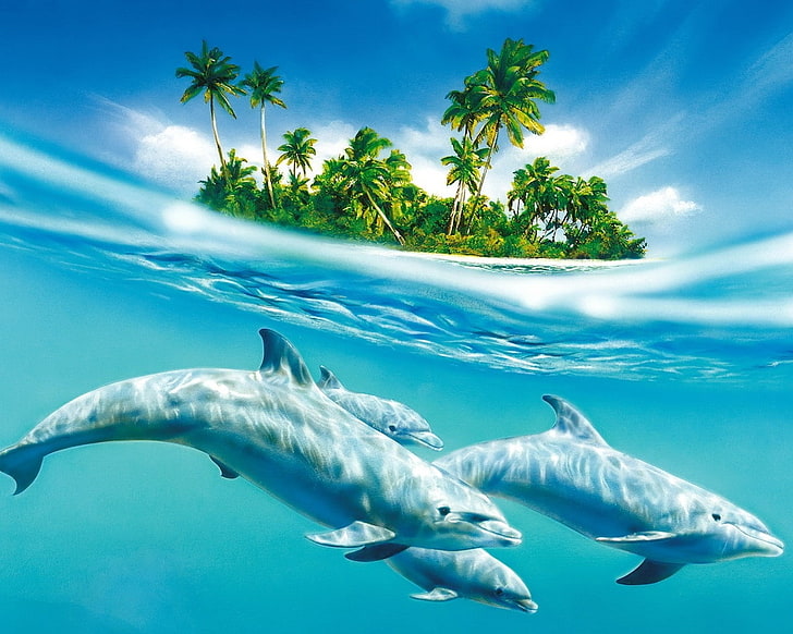 Islas palmeras delfines 3d splitview 1280x1024 Animales Delfines Arte HD,  Fondo de pantalla HD | Wallpaperbetter