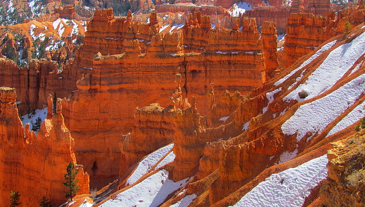snow, mountains, tree, rocks, Utah, USA, Bryce Canyon National Park, HD wallpaper