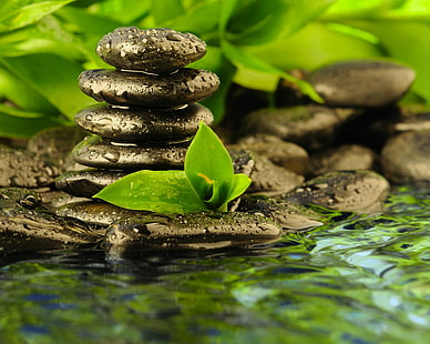 Wet Stones Zen Rocks Leaves Water Drops Water HD, природа, вода, скали, камъни, листа, капки, мокро, дзен, HD тапет HD wallpaper