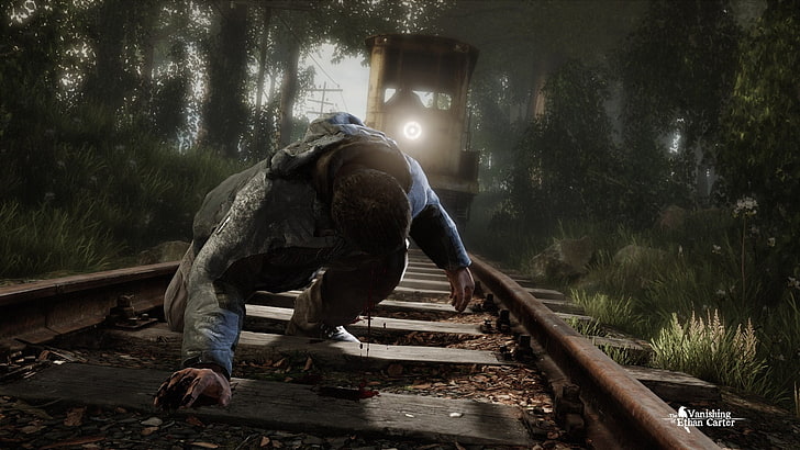 men's gray and black pullover hoodie, The Vanishing of Ethan Carter, video games, HD wallpaper