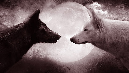 wolf, wolves, full moon, moon, black wolf, white wolf, animals, fantasy art, HD wallpaper HD wallpaper