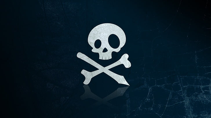 czarno-białe logo pirata z nadrukiem na materiale, czaszka i kości, niebieskie tło, odblask, Tapety HD