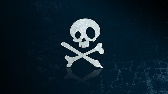 svartvit piratlogotyp tryckt textil, skalle och ben, blå bakgrund, reflektion, HD tapet HD wallpaper