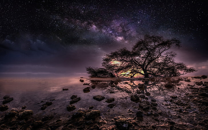 nature, trees, water, night, stars, Milky Way, HD wallpaper