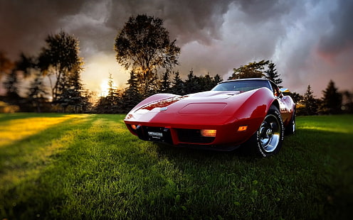 Chevrolet Corvette Stingray, รถสีแดง, ยานพาหนะ, รถยนต์, เชฟโรเลต, ต้นไม้, วอลล์เปเปอร์ HD HD wallpaper