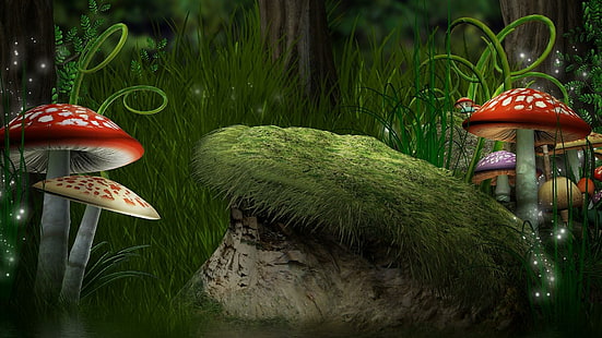 sonho, terra dos sonhos, cogumelo, cogumelos, magia, floresta, arte, obra de arte, fantasia, HD papel de parede HD wallpaper