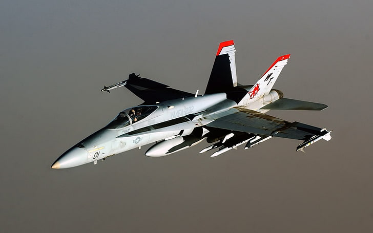 pesawat terbang, militer, pesawat terbang, perang, McDonnell Douglas F / A-18 Hornet, Wallpaper HD