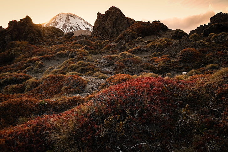 جبل ، جبل ، جديد ، ngauruhoe ، ستراتوفولكانو ، تونغاريرو ، بركان ، نيوزيلندا، خلفية HD