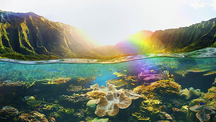 природа, вода, дъга, пейзаж на планината, коралов риф, небе, планина, слънчева светлина, корал, риф, под вода, пейзаж, Хавай, HD тапет