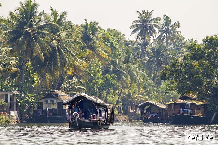 remansos, Godownowncountry, casas flotantes, India, Kerala, Kumarakom, lago, manglares, Fondo de pantalla HD