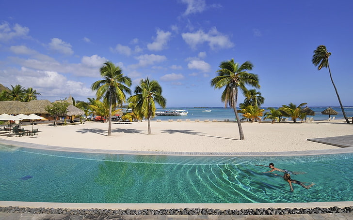 кокосови дървета и басейн, плаж, палми, хотел, плувен басейн, HD тапет