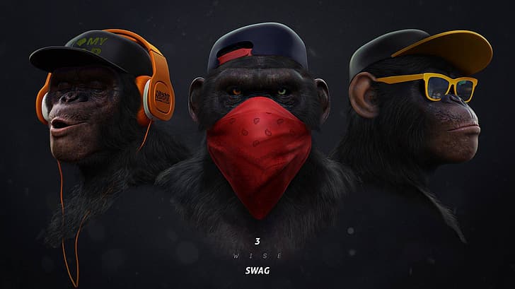 Animated monkey Wallpapers Download  MobCup
