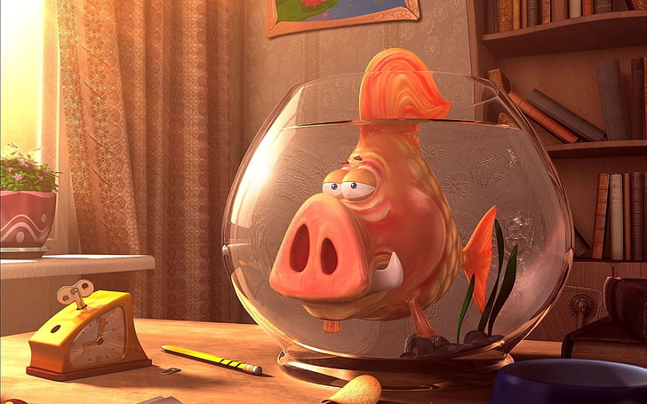Aquarium, Fisch, Schweine, HD-Hintergrundbild