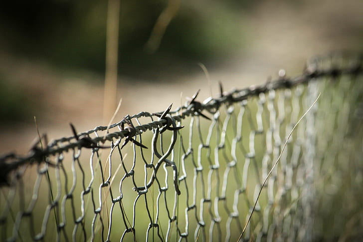 barbed wire, fence, wire mesh, wire netting, HD wallpaper