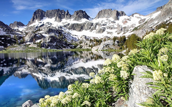 textile camouflage arbre vert et brun, paysage, lac, roche, neige, parc national des Glaciers, montagnes, reflet, lac Iceberg, Fond d'écran HD