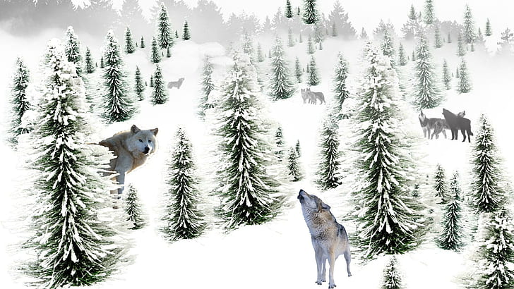 Winters Wolves, firefox persona, haunting, mountains, wolves, forest, trees, snow, howling, wolf, winter, 3d and abstra, HD wallpaper
