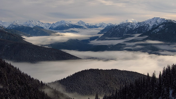 névoa cobrindo montanha, montanhas, paisagem, natureza, nuvens, névoa, neve, céu, floresta, inverno, madeira, ao ar livre, plantas, HD papel de parede