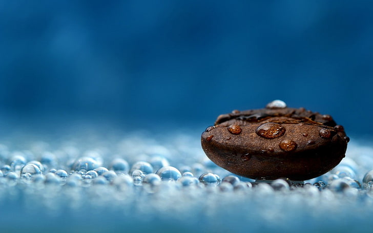 coffee bean, macro, depth of field, coffee beans, water drops, blue, photography, coffee, relaxing, HD wallpaper