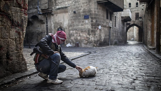 Алепо, котка, пистолет, улица, Сирия, война, HD тапет HD wallpaper