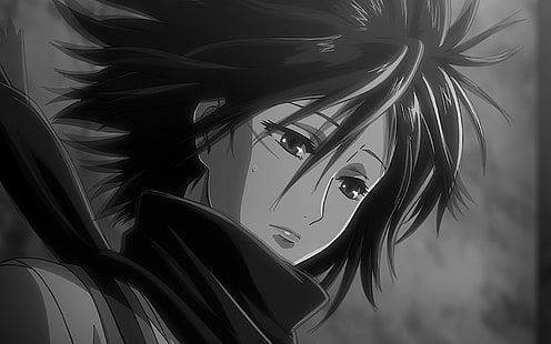 Anime, Attack On Titan, Schwarz & Weiß, Mikasa Ackerman, Sad, Shingeki No Kyojin, HD-Hintergrundbild HD wallpaper
