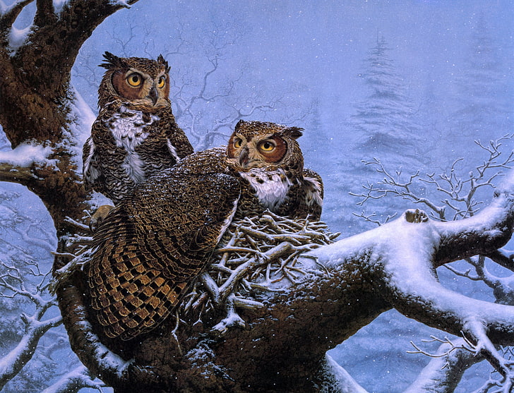 brown owls illustration, winter, snow, tree, owl, spruce, socket, painting, owls, Lee Kromschroeder, February Nest, HD wallpaper