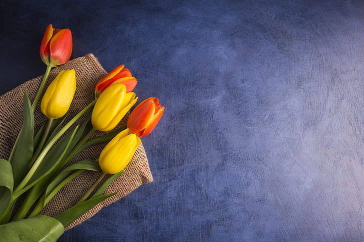 fond, bouquet, tulipes, Fond d'écran HD