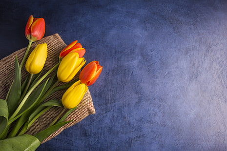 Hintergrund, Strauß, Tulpen, HD-Hintergrundbild HD wallpaper