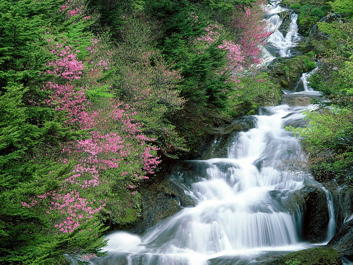 Trees Flowers Waterfalls, waterfalls, flowers, trees, HD wallpaper