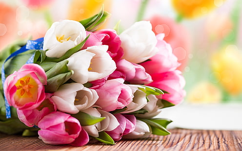 Букет цветя от розово и бяло лале, букет от червени розови и бели лалета, розово, бяло, лале, цвете, букет, HD тапет HD wallpaper