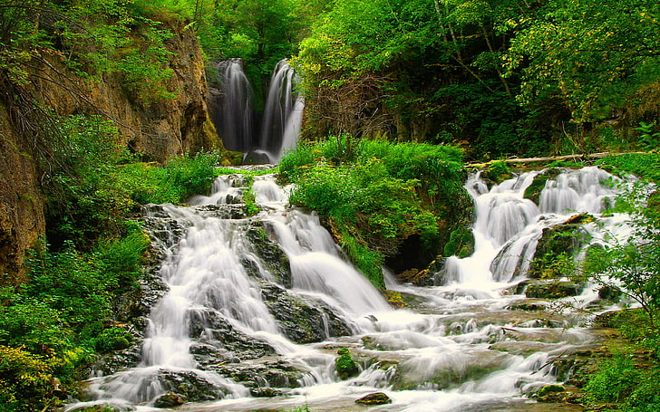 Pequeño río del bosque con hermosas cascadas costa verde hierba arbustos fondo de pantalla panorámica hd, Fondo de pantalla HD