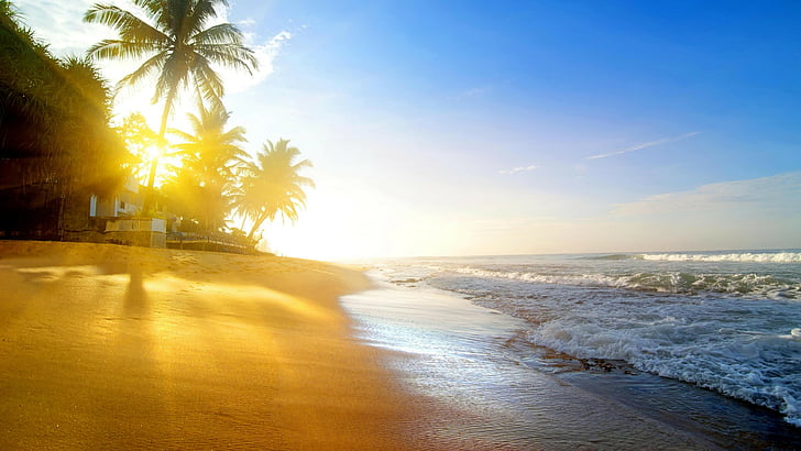 wybrzeże, letni wschód słońca, piasek, piaszczysta plaża, tropikalny krajobraz, tropikalna plaża, palma, woda, fala, palma, słońce, morze, wschód słońca, światło słoneczne, poranek, ocean, plaża, horyzont, brzeg, niebo, zbiornik wodny, Tapety HD
