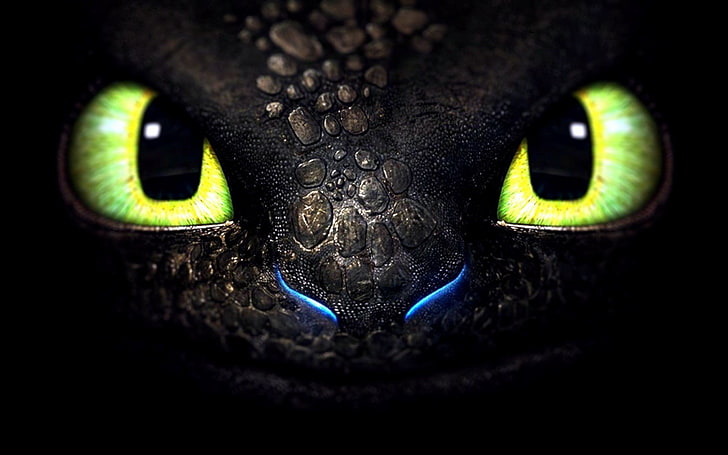 How to train your dragon Toothless digital wallpaper, How to Train Your Dragon, Toothless, dragon, HD wallpaper