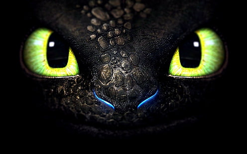 Toothless, How to Train Your Dragon, dragon, HD wallpaper HD wallpaper