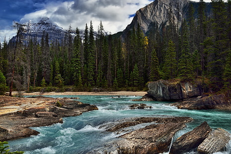 green pine trees near body of water, Kicking Horse River, Flowing, Mountains, Natural Bridge, Yoho National Park, green pine, pine trees, body of water, Nikon D800E, Day, Trip, Alberta, British Columbia, Mount Dennis, Mount Stephen, Looking East, Capture, NX2, Edited, Color, Pro, Nature, Landscape, Blue Skies, Clouds, Rocky Mountains, Canadian Rockies, Distance, Hillside, Trees, Evergreens, Rocks, Boulders, Falls  River, Emerald Lake, Lake Road, Area, Walking, Southern, Continental Ranges, Banff, Lake Louise, Core Area, Bow Range, Canvas, Portfolio, Canada, forest, river, water, scenics, mountain, outdoors, rock - Object, tree, beauty In Nature, stream, waterfall, HD wallpaper HD wallpaper