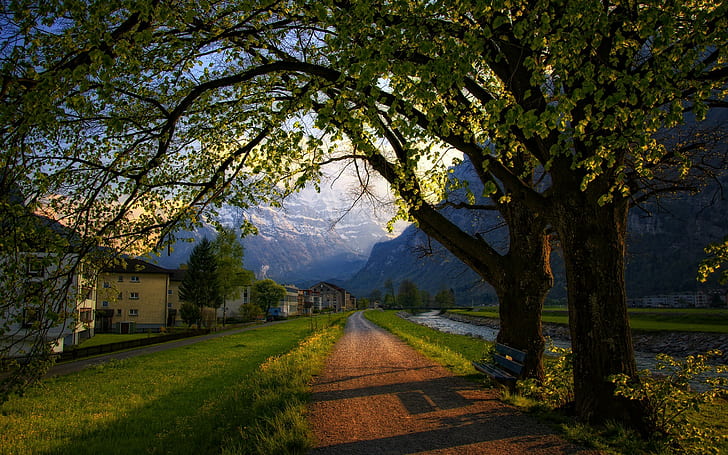 mountains, grass, road, house, bench, trees, snow, HD wallpaper