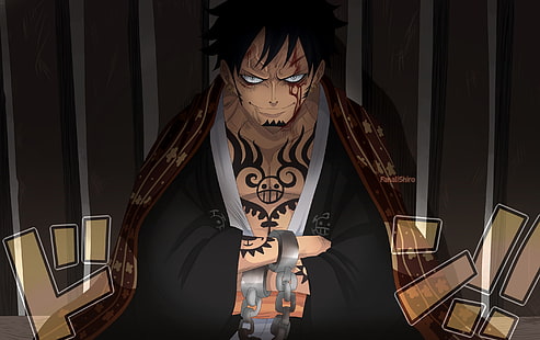 One Piece, Трафальгарский закон, HD обои HD wallpaper