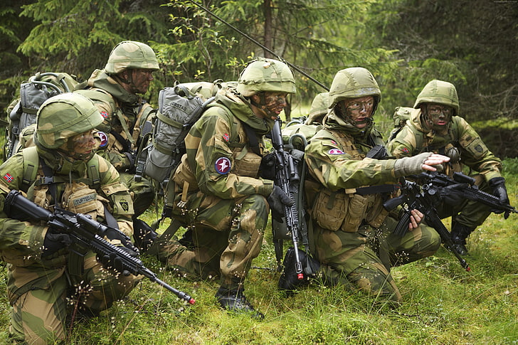 Armia Norweska, misja, kamuflaż, żołnierz, las, Norweskie Siły Zbrojne, karabin, Tapety HD