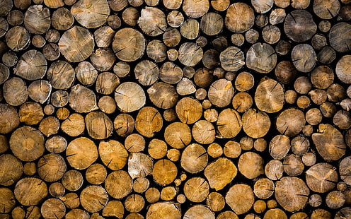 Logs, wood, bark, trees, Logs, Wood, Bark, Trees, HD wallpaper HD wallpaper