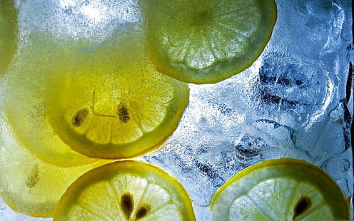 limon dilimleri, limon, narenciye, buz, parçalar, HD masaüstü duvar kağıdı HD wallpaper