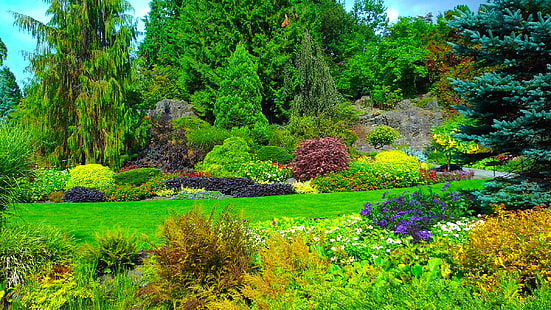 greens, grass, trees, flowers, Canada, Sunny, the bushes, gardens, Queen Elizabeth Garden, HD wallpaper HD wallpaper