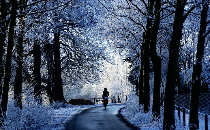 冬の道のシーン、経路上を歩く人、季節、冬、ブルー、旅行、自然、美しい、風景、ホワイト、風景、サンシャイン、木、川、シーン、冷凍、驚くべき、写真、オランダ、雪、オランダ、静かな、反射、ヨーロッパ、冷ややかな、美しさ、平和的、反射、青空、霜、白い木、クロムメレイン、アメリスウィード、ライナウウェン、ユトレヒト、冬のワンダーランド、天国の地球、 HDデスクトップの壁紙