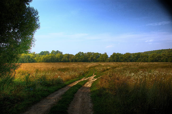 المناظر الطبيعية والأشجار والمسار، خلفية HD