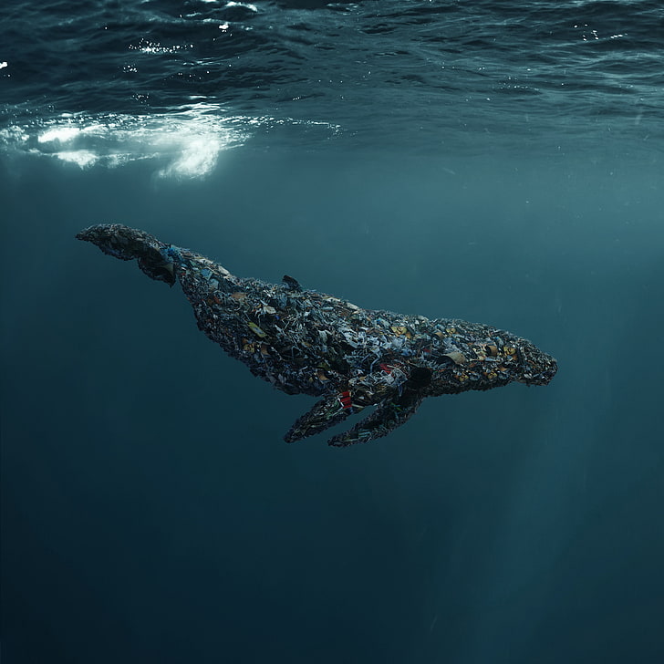 Underwater, Whale, CGI, Sea, 4K, HD wallpaper