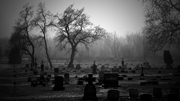 Grabstein viel, Friedhof, Grabsteine, Bäume, HD-Hintergrundbild