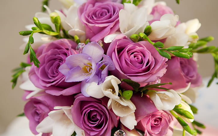Violet flowers, roses, bouquet, Violet, Flowers, Roses, Bouquet, HD wallpaper