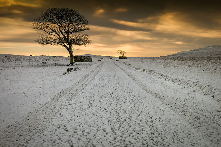 snowy road photo, wrong, tracks, snowy road, photo, jones, samsung, yorkshire  dales, tree, winter, path, desert, nature, sand, landscape, dry, sand Dune, sky, outdoors, HD wallpaper